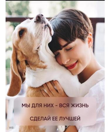 From the Boss Treat for dogs cookies delicious - Buy Online on GoSupps.com