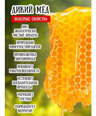 Honey of the Mamdeev family Wild honey 450 g pp food vegan lifestyle - Buy Online on GoSupps.com