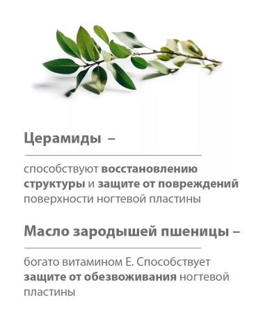 BELWEDER Lacques strengthening for fragile and brittle nails with cramids - Buy Online on GoSupps.com