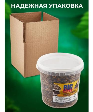 Big Tiny Black lion cub for turtles of roots of hamsters and hedgehogs - Buy Online on GoSupps.com