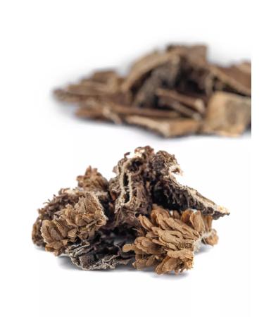 Feed Bro Beef shirt 300 g - Buy Online on GoSupps.com