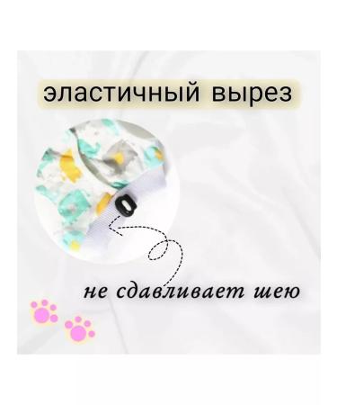 KOTANyshka Popone for a cat postoperative - Buy Online on GoSupps.com