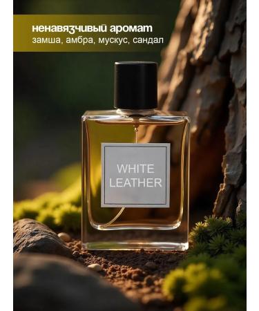 Taiga Territory Hair oil beards and mustache - Buy Online on GoSupps.com