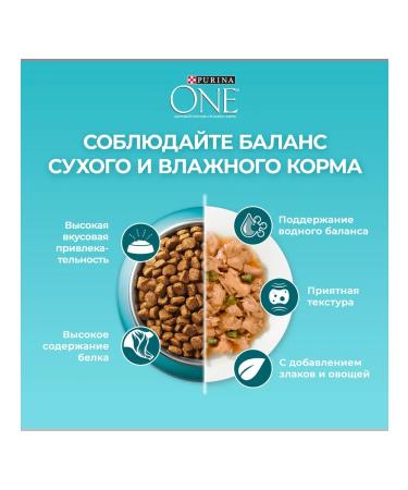 PURINA ONE Feed for sterilized domestic cats chicken 750 gr - Buy Online on GoSupps.com