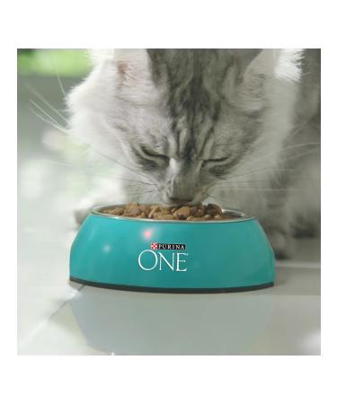 PURINA ONE Feed for sterilized domestic cats chicken 750 gr - Buy Online on GoSupps.com