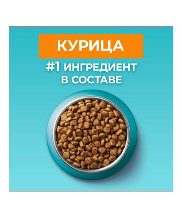 PURINA ONE Feed for sterilized domestic cats chicken 750 gr - Buy Online on GoSupps.com