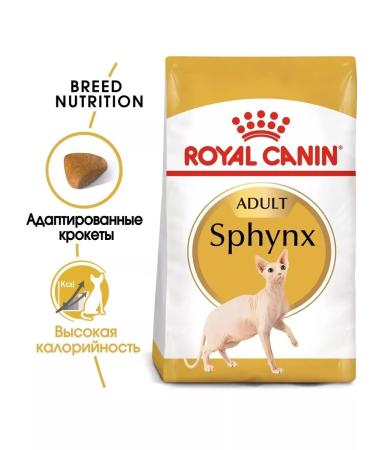 ROYAL CANIN Adult cat food sphinx 10kg - Buy Online on GoSupps.com