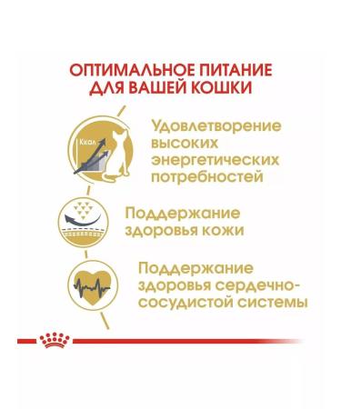 ROYAL CANIN Adult cat food sphinx 10kg - Buy Online on GoSupps.com