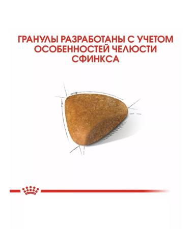 ROYAL CANIN Adult cat food sphinx 10kg - Buy Online on GoSupps.com