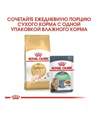 ROYAL CANIN Adult cat food sphinx 10kg - Buy Online on GoSupps.com