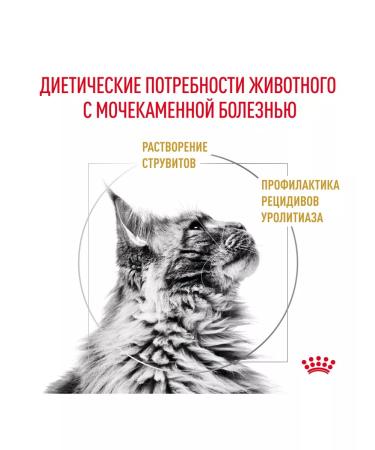 ROYAL CANIN Cat food treatment and prevention of ICD 1.5kg - Buy Online on GoSupps.com