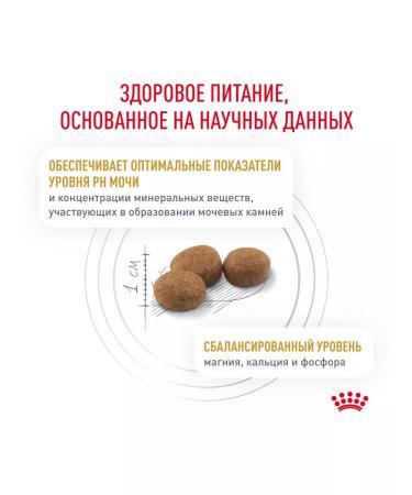 ROYAL CANIN Cat food treatment and prevention of ICD 1.5kg - Buy Online on GoSupps.com