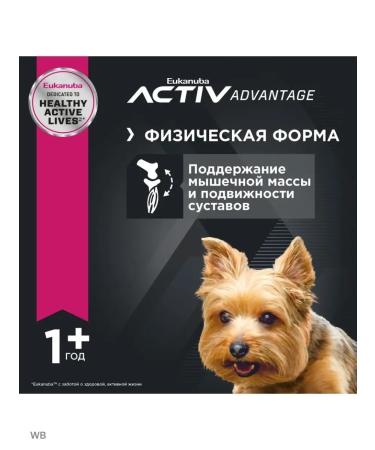 Eukanuba Adult dogs of decorative breeds bird 1.5 kg - Buy Online on GoSupps.com