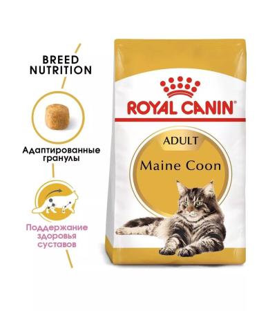 ROYAL CANIN Adult cat feed by Main Kun 2kg - Buy Online on GoSupps.com