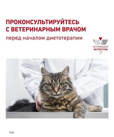 ROYAL CANIN Cat food for spicy and chronic constipation poultry 2kg - Buy Online on GoSupps.com