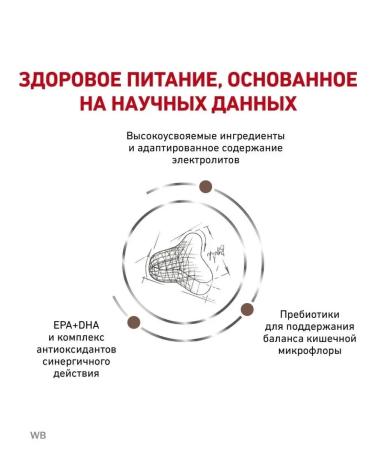 ROYAL CANIN Cat food for spicy and chronic constipation poultry 2kg - Buy Online on GoSupps.com