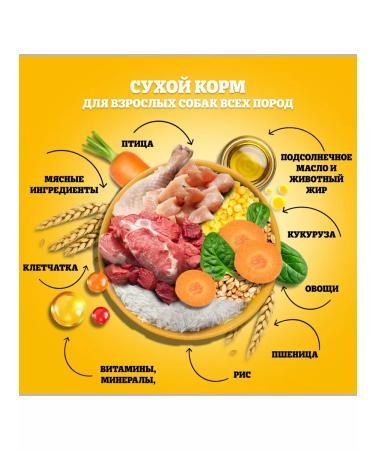 PEDIGREE Adult dog feed of all breeds beef 13kg - Buy Online on GoSupps.com