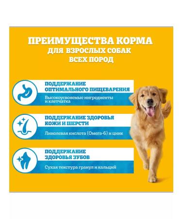 PEDIGREE Adult dog feed of all breeds beef 13kg - Buy Online on GoSupps.com