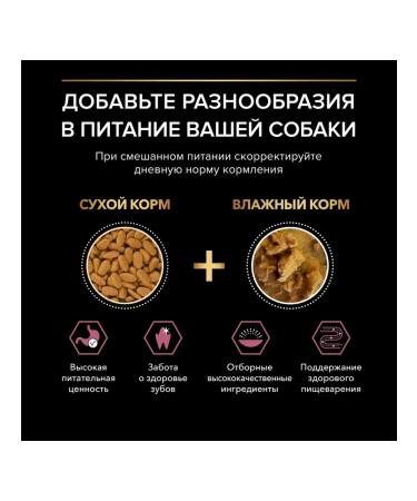 PRO PLAN Small breed dog food sensitive skin salmon 7 kg - Buy Online on GoSupps.com