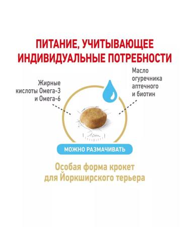 ROYAL CANIN Feed for dogs of the breed Yorkshire Terrier (from 8 years) 1.5 kg - Buy Online on GoSupps.com