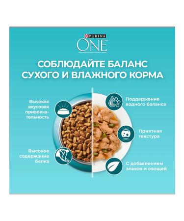 PURINA ONE Sterilized cat food beef 3 kg - Buy Online on GoSupps.com