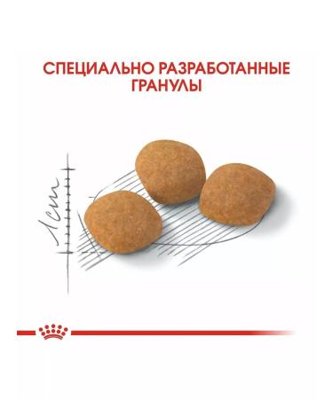 ROYAL CANIN Adult cat feeds are fastidious to the composition of 10 kg - Buy Online on GoSupps.com