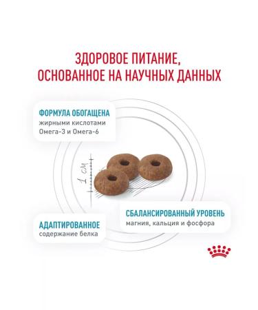 ROYAL CANIN Sterilized cat food with skin problems 3.5 kg - Buy Online on GoSupps.com