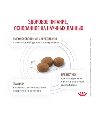 ROYAL CANIN Cat food for digestive disorders bird 2kg - Buy Online on GoSupps.com