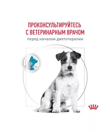 ROYAL CANIN Little breeds feed for food allergies 1 kg - Buy Online on GoSupps.com