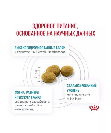 ROYAL CANIN Little breeds feed for food allergies 1 kg - Buy Online on GoSupps.com