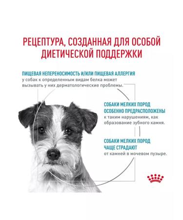 ROYAL CANIN Little breeds feed for food allergies 1 kg - Buy Online on GoSupps.com