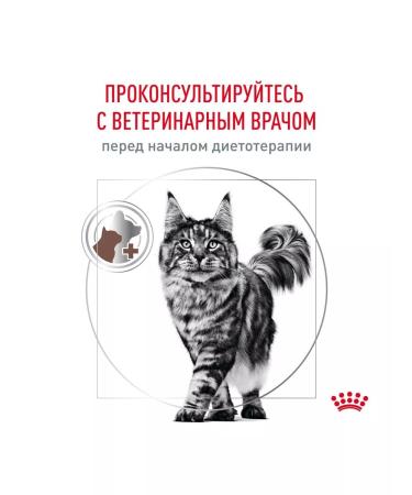 ROYAL CANIN Cat food for digestive disturbances poultry and rice 2kg - Buy Online on GoSupps.com