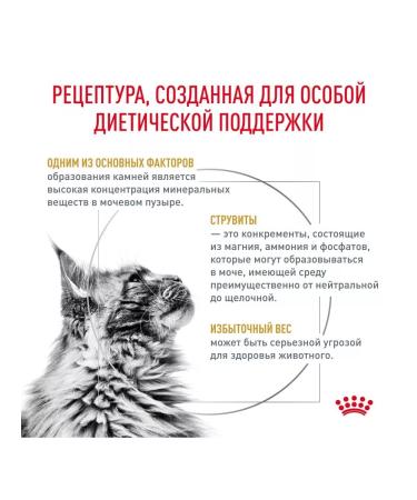 ROYAL CANIN Adult cat food with ICD and overweight 1.5 kg - Buy Online on GoSupps.com