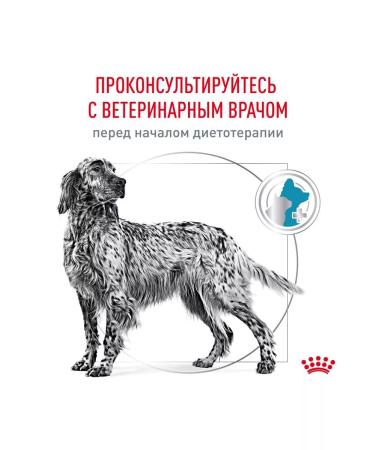 ROYAL CANIN Feed for medium and large dogs for food allergies 7kg - Buy Online on GoSupps.com