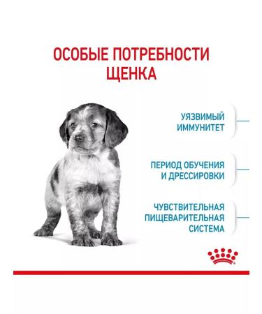 ROYAL CANIN Middle puppies 3kg - Buy Online on GoSupps.com