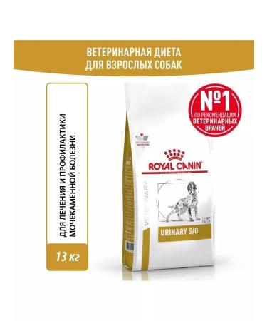 ROYAL CANIN Feed for adults and elderly dogs at ICD 13 kg