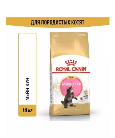 ROYAL CANIN Feed for kittens of the breed of Main Kun and other large rocks 10 kg