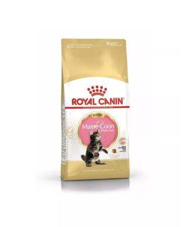 ROYAL CANIN Feed for kittens of the breed of Main Kun and other large rocks 10 kg - Buy Online on GoSupps.com