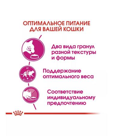 ROYAL CANIN Adult cat food picky to taste 4 kg - Buy Online on GoSupps.com