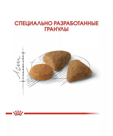 ROYAL CANIN Adult cat food picky to taste 4 kg - Buy Online on GoSupps.com