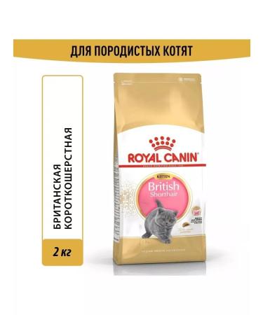 ROYAL CANIN Feed for kittens of breeds British short -haired 2kg