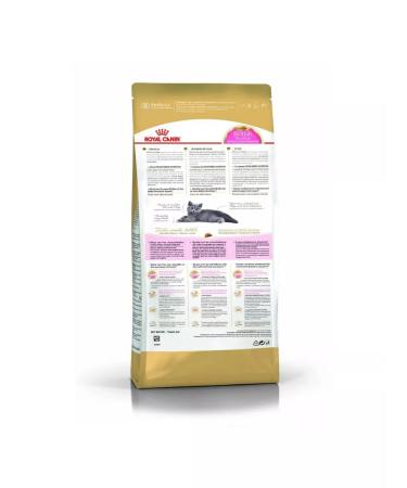 ROYAL CANIN Feed for kittens of breeds British short -haired 2kg - Buy Online on GoSupps.com