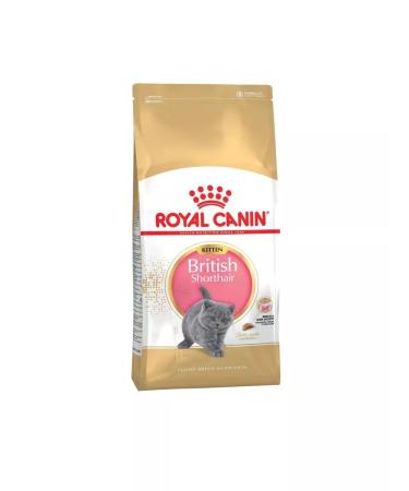ROYAL CANIN Feed for kittens of breeds British short -haired 2kg - Buy Online on GoSupps.com