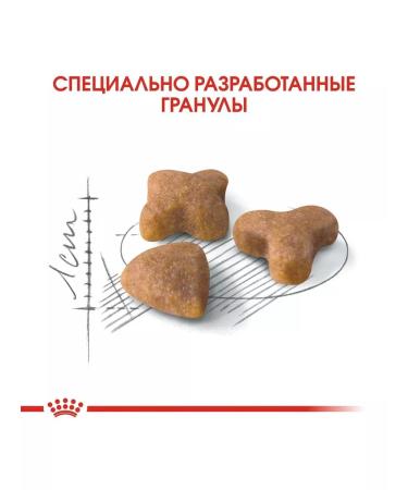 ROYAL CANIN Feed for cats with sensitive digestion bird 2kg - Buy Online on GoSupps.com
