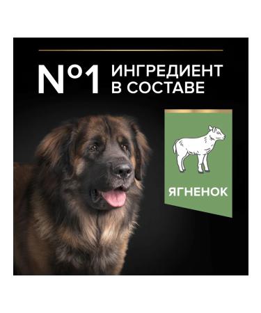 PRO PLAN Feed for large powerful sensitive gastrointestinal tract lamb 14 kg - Buy Online on GoSupps.com