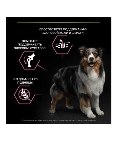 PRO PLAN Medium -sized dog food skin problems salmon 3 kg - Buy Online on GoSupps.com