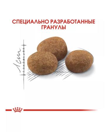 ROYAL CANIN Food for elderly sterilized cats (from 7 years) 1.5kg - Buy Online on GoSupps.com
