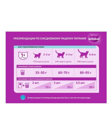 WHISKAS Feed for sterilized cats pillows chicken 5kg - Buy Online on GoSupps.com