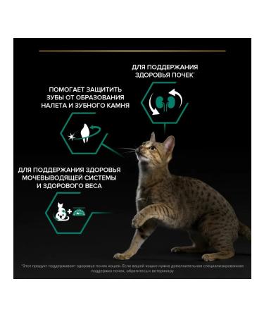 PRO PLAN Sterilized cat food with a rabbit 10 kg - Buy Online on GoSupps.com