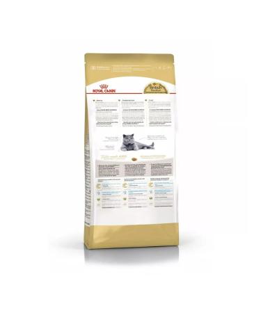 ROYAL CANIN British short -haired cat food 4 kg - Buy Online on GoSupps.com
